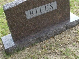 Loyce E Biles