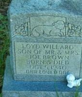 Loyd Willard Brown