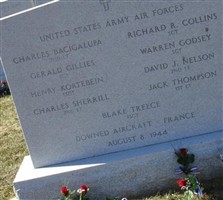 2Lt. David J Nelson 2Lt. David J Nelson