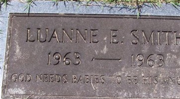 Luanne E. Smith Luanne E. Smith