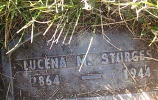 Lucena M Sturgess