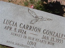 Lucia Carrion Gonzales Lucia Carrion Gonzales