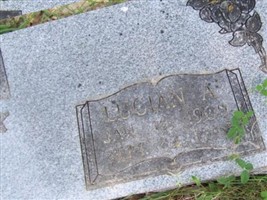 Lucian A. Chism