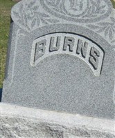 Lucian L Burns