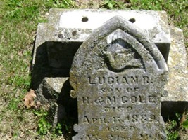 Lucian R Cole