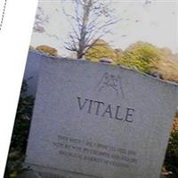 Luciano A Vitale