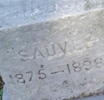 Lucien Sauve Lucien Sauve