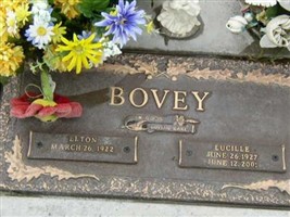 Lucille Bovey Lucille Bovey