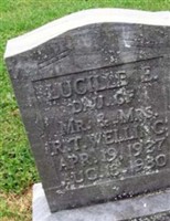 Lucille E Welling