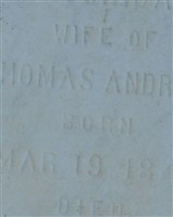Lucinda Cheek Andrews