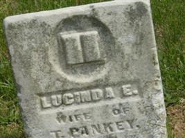 Lucinda Elizabeth Elder Pankey Lucinda Elizabeth Elder Pankey