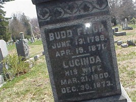 Lucinda Finch Lucinda Finch