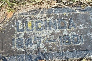 Lucinda Holbrook Lucinda Holbrook