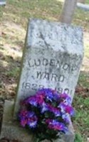 Lucinda McMellon Ward Lucinda McMellon Ward