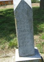Lucinda Shultz