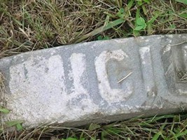 Lucius A. GOODYEAR Lucius A. GOODYEAR