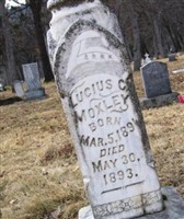 Lucius C. Moxley