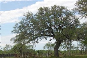 Luckenbach Cemetery