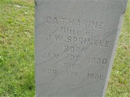 Lucretia Catherine Allen Sprinkle