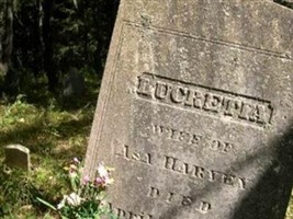 Lucretia Harvey Lucretia Harvey