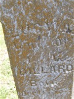 Lucy A Dillard