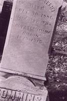 Lucy A. Longfellow Commins Lucy A. Longfellow Commins
