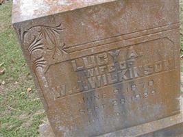 Lucy A Wilkinson