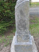Lucy Ann Cotton Nicholson Lucy Ann Cotton Nicholson