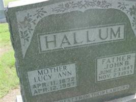 Lucy Ann Hallum