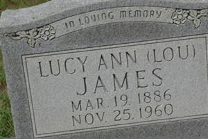 Lucy Ann James