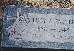 Lucy Ann Miller Palmer