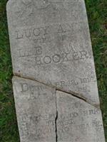 Lucy Ann Newman Hooker