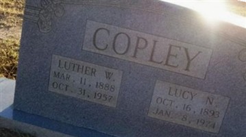 Lucy Ann Newton Copley