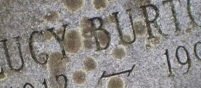 Lucy Burtch Main