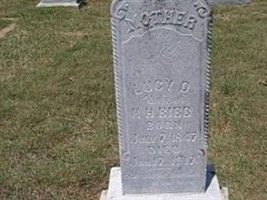 Lucy D Bibb