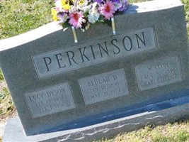 Lucy Dyson Perkinson
