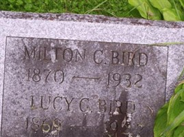 Lucy g Bird Lucy g Bird