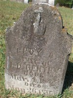 Lucy Gentry