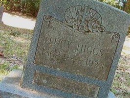 Lucy Higgs