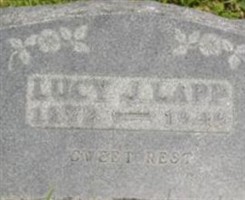 Lucy Jane Stedman Lapp