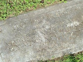 Lucy Jane Wilkins Hutchinson