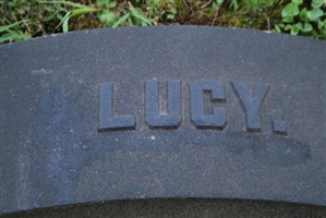 Lucy Kearns
