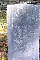 Lucy M Davis Phillips