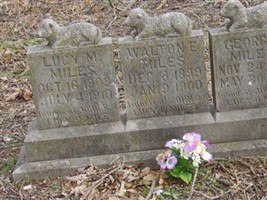 Lucy M. Miles Lucy M. Miles