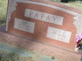 Lucy P. Papay
