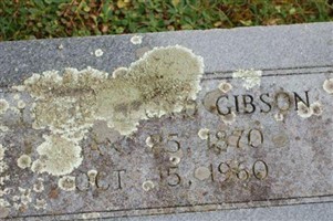 Ludie Lloyd Gibson