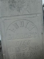 Ludim Blodgett Ludim Blodgett