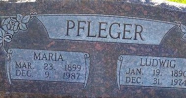Ludwig Pfleger