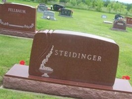 Ludwig Steidinger