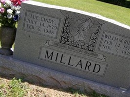 Lue Cindy Millard
